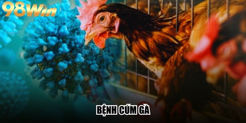 Bệnh Cúm Gà - Dấu Hiệu Nhận Biết Và Cách Phòng Ngừa 1 Bệnh Cúm Gà - Tìm Hiểu Nguyên Nhân Và Cách Phòng Tối Ưu
