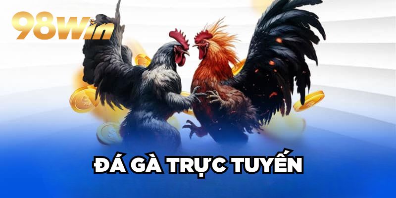 Đá Gà Trực Tuyến 98win| Sân Chơi Cược Kê Xanh Chín TOP 1 1 Đá Gà Trực Tuyến 98win| Sân Chơi Cược Kê Xanh Chín TOP 1